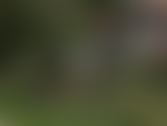 Innovation und Fortschritt: SRF-Interview zum Drohnen-Projekt