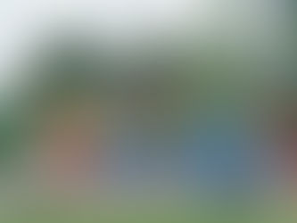 First Impressions are Important, Even for Communities