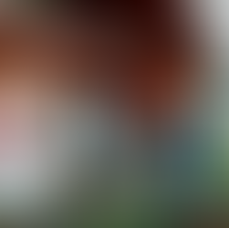 Winter in Loudonville: Where Cold Turns Into Celebration