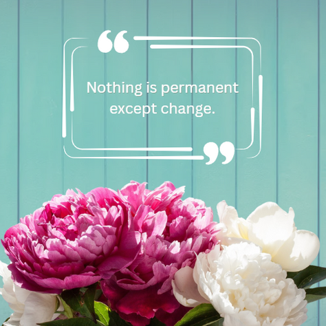 Peony Themed Social Media Templates