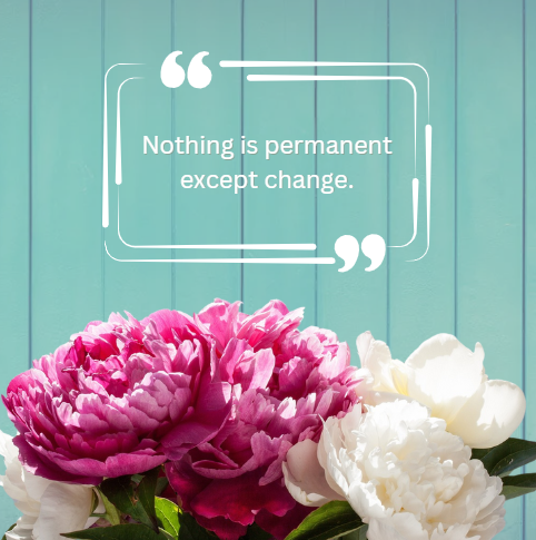 Peony Themed Social Media Templates
