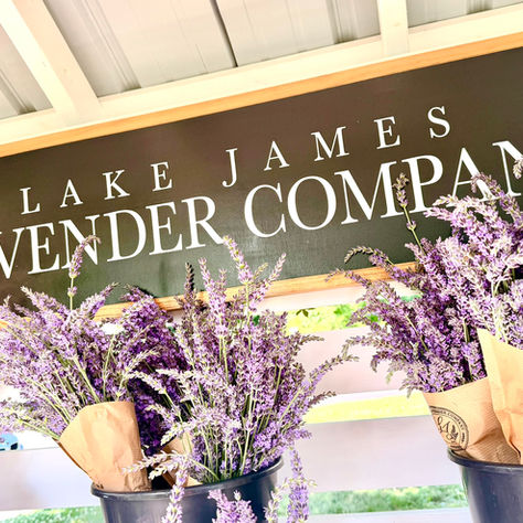 Where Lavender Meets Lake Life: A New Small-Town Destination Blooms Near Angola