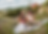 Two people sitting on a blanket in a field, having a picnic with drinks and snacks. Sunny day, barn and trees in the background. Happy mood.