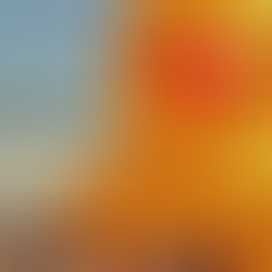 Mama Duck: The Giant Rubber Duck That’s Touring America One Splash at a Time