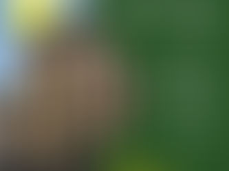 Statens fastighetsverk är samverkanspartner under OH 2022!