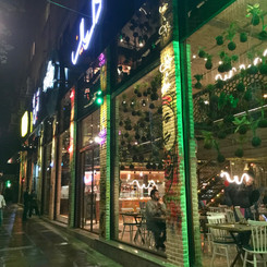 IMG_8514 (1).jpeg