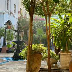 Greenery in the interior of the Courtyard