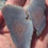 Thumbnail: Botswana Agate Cut In Half - Rough, Natural, Not Polished