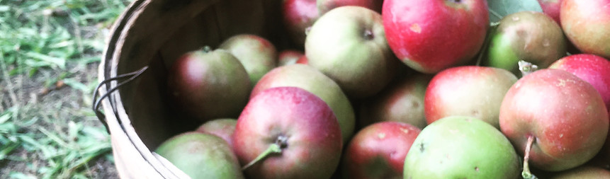 30D243DB-16FB-4ED5-BEDE-AF875A542948 2.jpeg