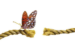 Energetic Cords- How they effect our Chakras