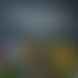 O segredo está no tempero!