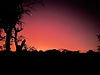 Orange Sunset at Private Safari Reserve.jpg