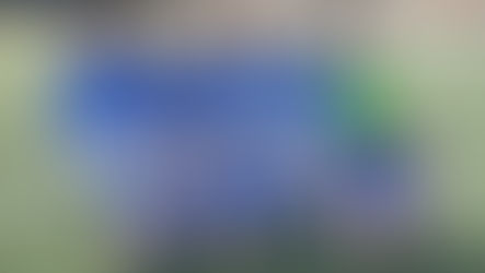 CD Rivas Jarama C 6 - 1 Alevín Masculino F7 B