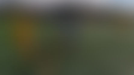 Alevín Masculino F11 1 - 6 Escolapios Alcalá