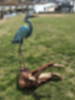P Large Teal Heron head down