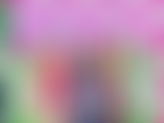 2025年成人の日街頭アイドルショー!