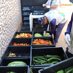 Dia Mundial da Alimentação: Sepror entrega mais de 120 toneladas de produtos da agricultura familiar para instituições socioassistenciais