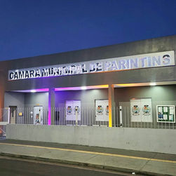 Câmara de Parintins é iluminada em alusão à Campanha Fevereiro Roxo e Laranja