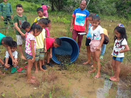 Comunitários Libertam 850 Quelônios em Bela Vista, Novo Aripuanã