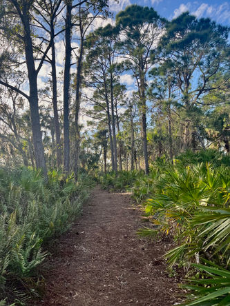 Lemon Bay Park