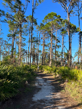 Oyster Creek Environmental Park