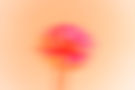 Dreamlike artistic lively flower with blur