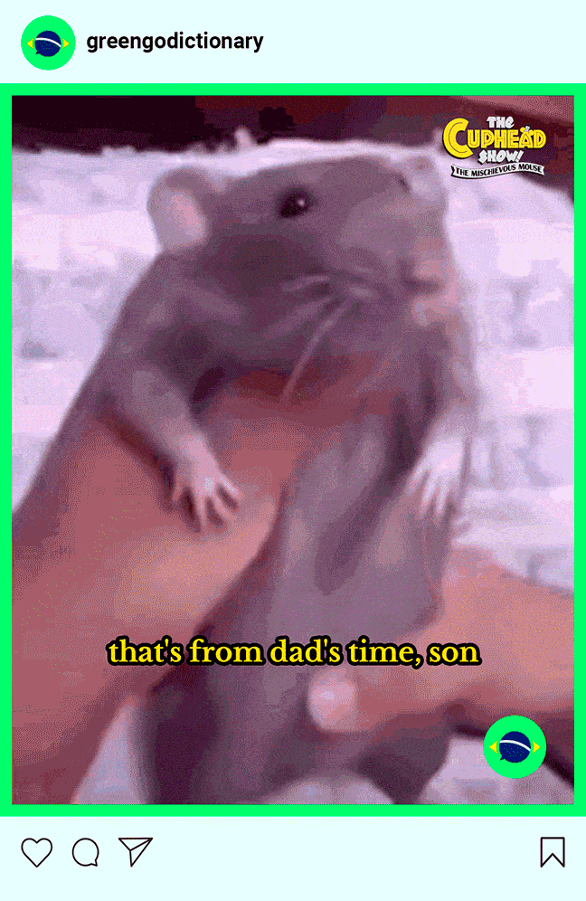 greengo3.gif