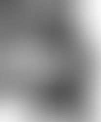 Spanked by an Octopus