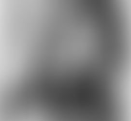 Spankos Are Painters