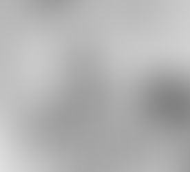 Spankos Searching for Relationships, Slow Down!