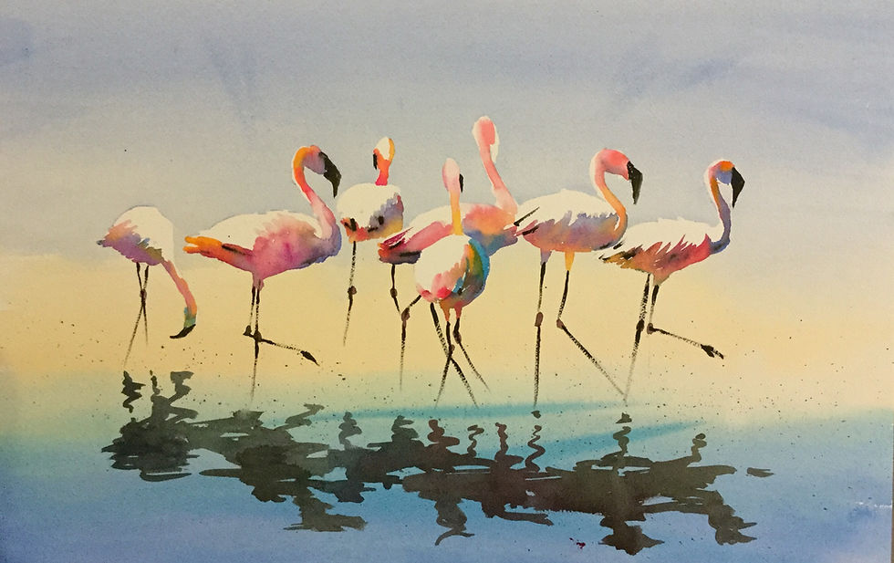 Flamingoes
