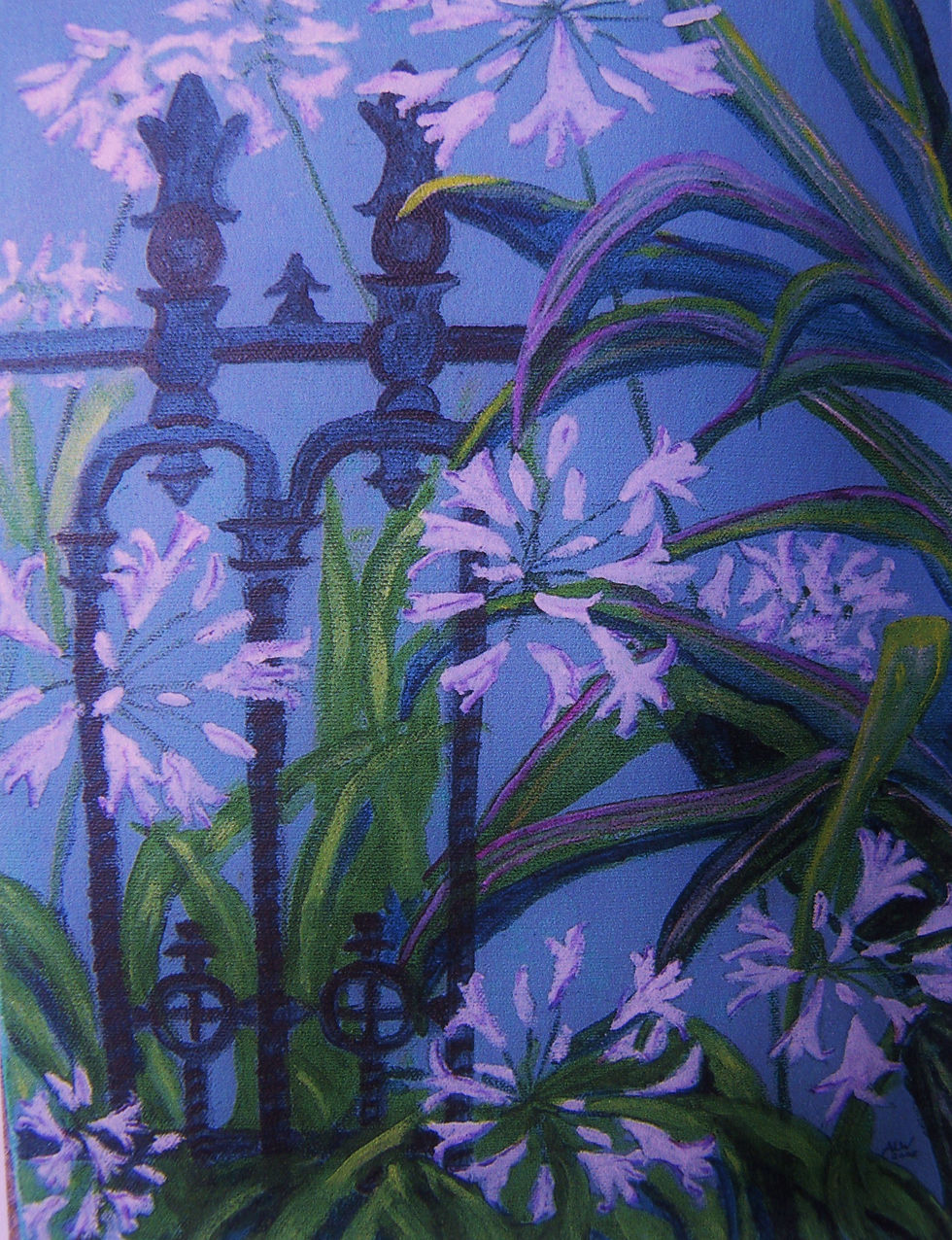 Willoughly, Anne Agapanthus