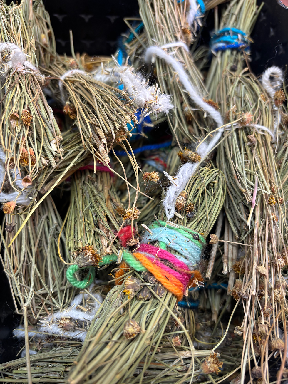 Thumbnail: 1 Navajo Tea bundle (single bundle)