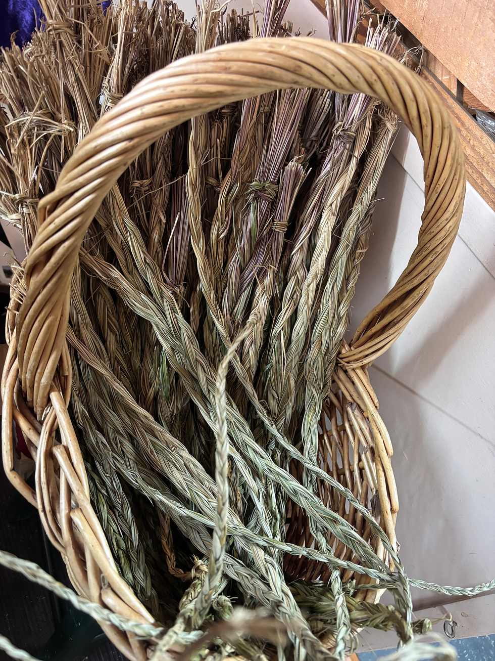 Thumbnail: Sweetgrass
