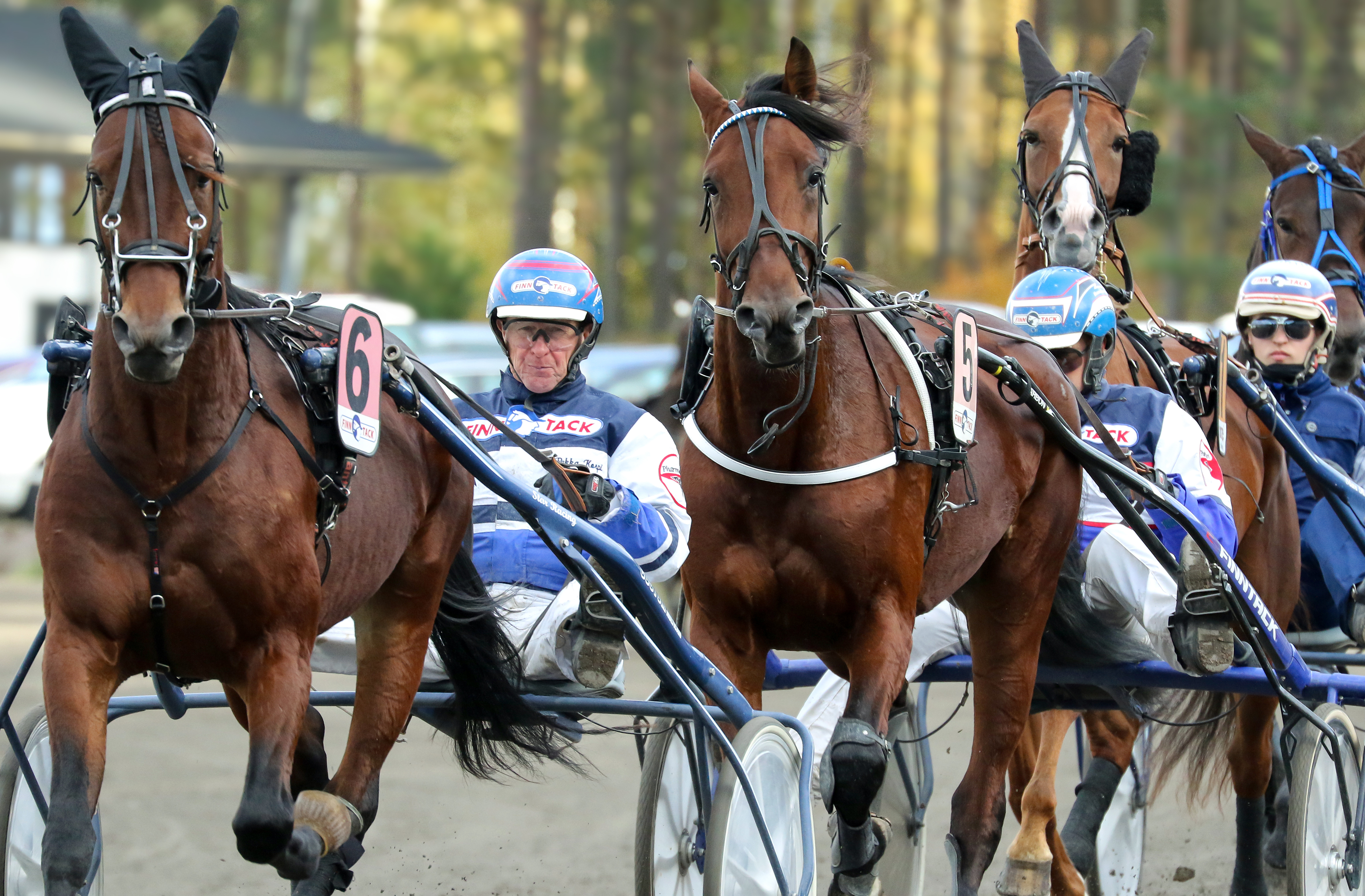Kuva Anu Leppänen raviurheilu