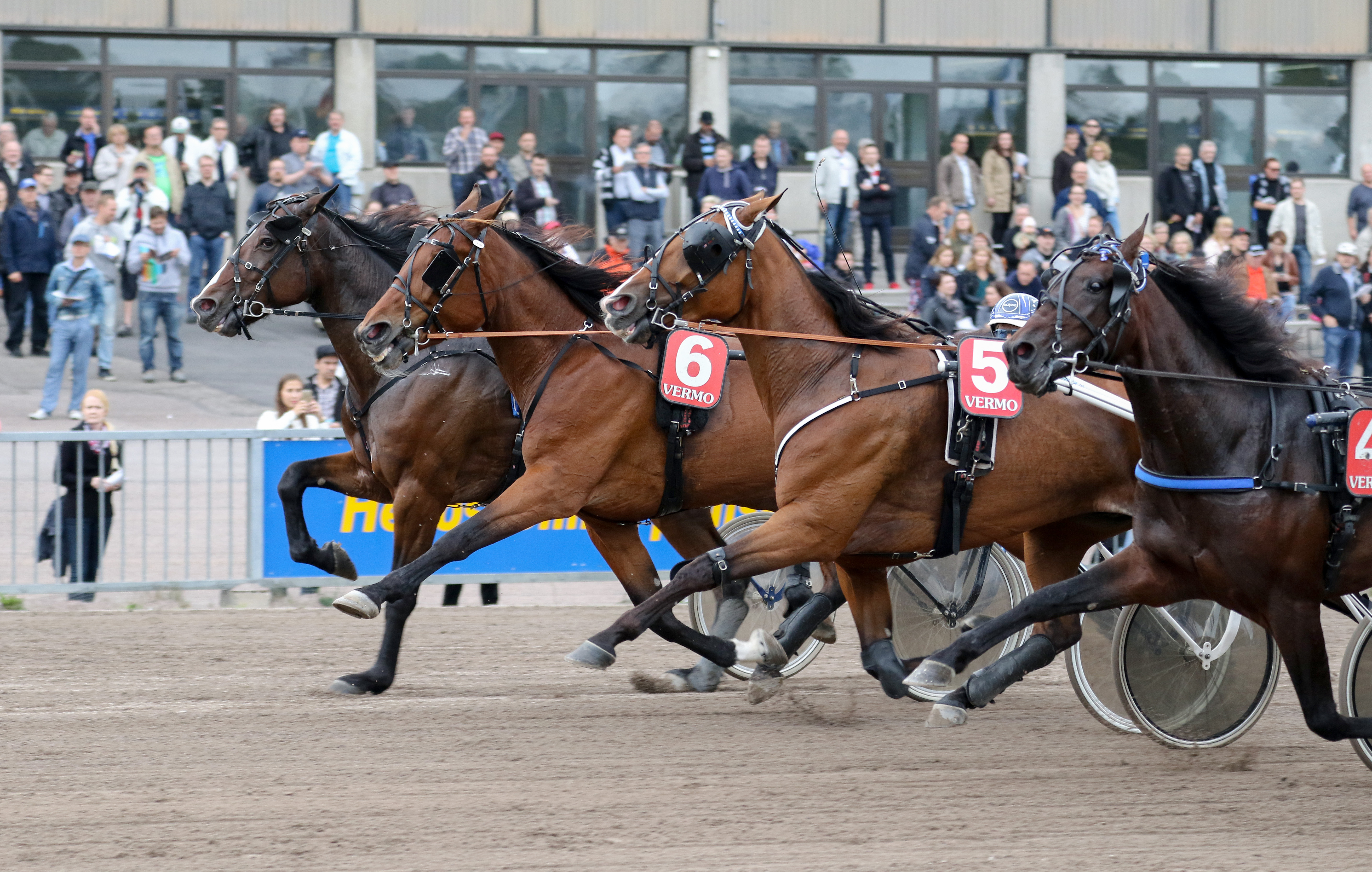Kuva Anu Leppänen raviurheilu start