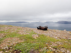 Westfjords, Iceland