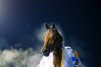 Willow Pride 23102021 P AL 6N1A8782.jpg