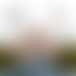 Descobrindo a Essência do SSMA EM PAUTA através da palavra “Perspectiva”