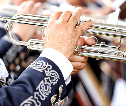 Mariachi en Toluca Tel. 722 44 40 688 Mariachi Halcones del Valle de Toluca y Metepec para tus eventos sociales y empresariales. Bodas, bautizos, XV Años, cumpleaños, serenatas, empresas, reuniones familiares,espectáculos,cumpleaños. Con los mejores precios de Mariachis en la ciudad de Toluca México