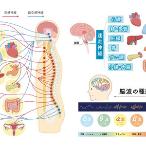自律神経を整えるための説明ＰＯＰ