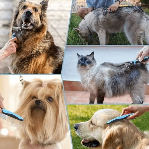 Thumbnail: Professional Double-Sided Pet Grooming Brush