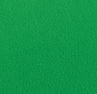 Copy of Green Screen.jpeg