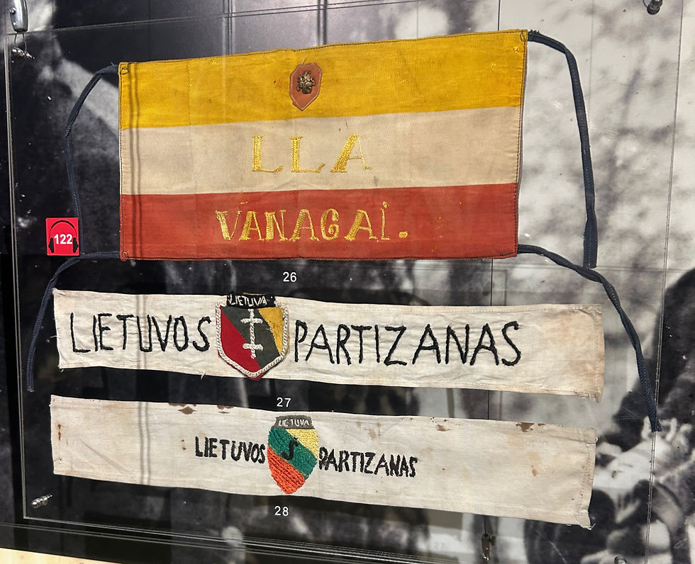 Historical Display, Vilnius