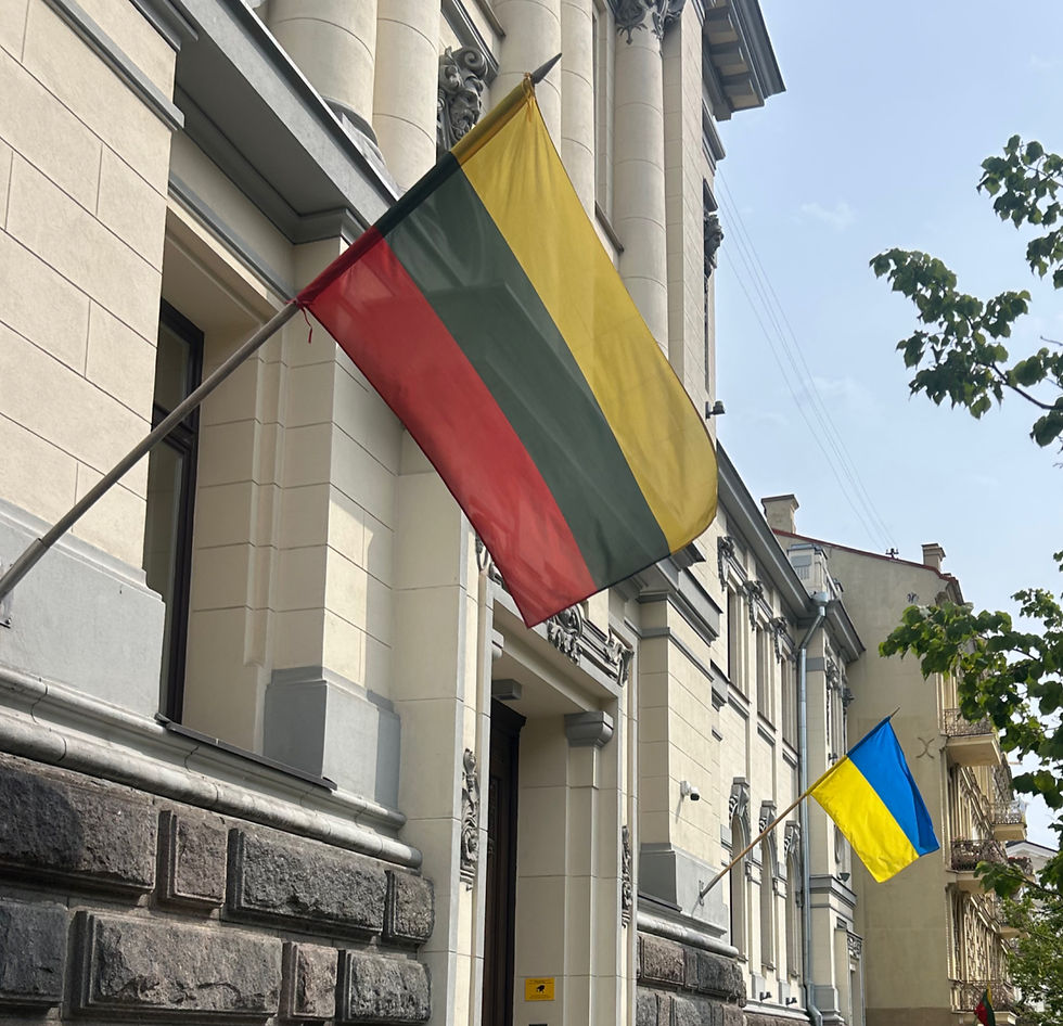Flags of Support, Vilnius