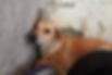 DSC09136.JPG