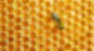 honey-002.jpeg