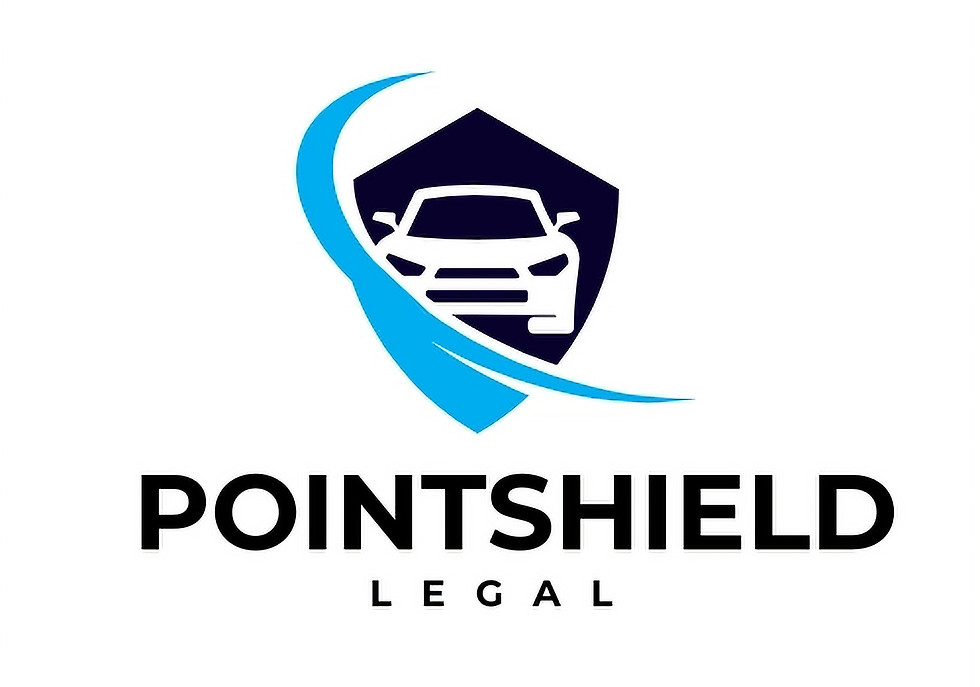 Pointshield_edited.jpg