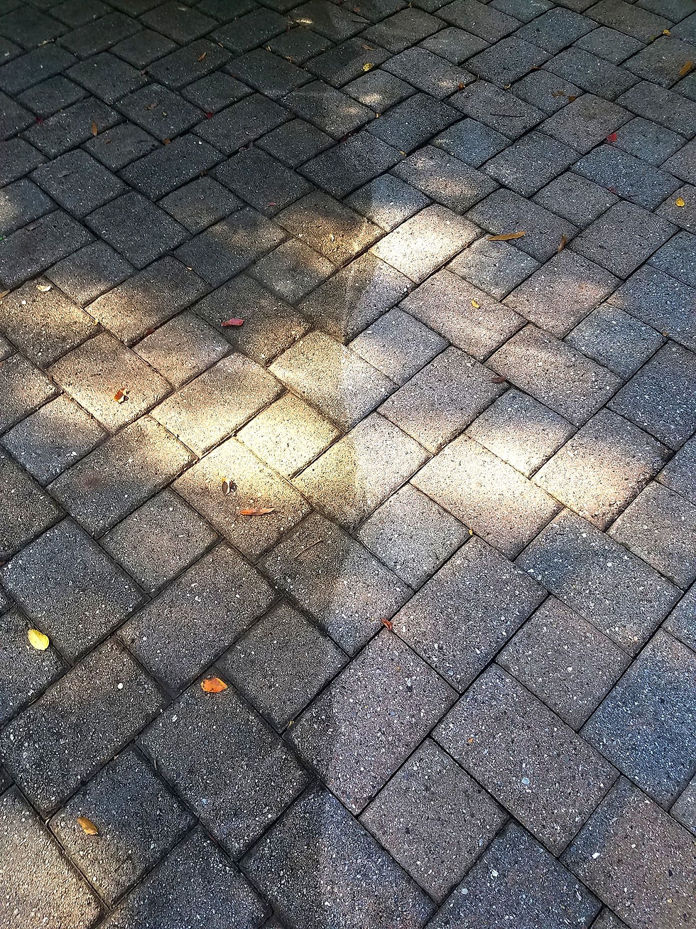 Pressure Washing Premier Power Wash, L.L.C. Gastonia, NC