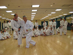 Shiomitsu Sensei  Clinic Wnter 2009